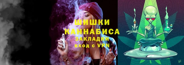 сатива Заводоуковск