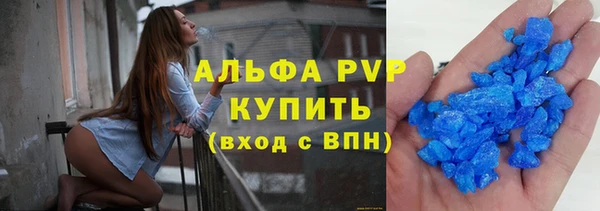сатива Заводоуковск