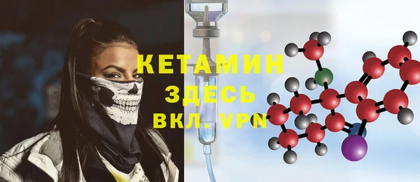 сатива Заводоуковск