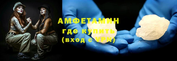 сатива Заводоуковск