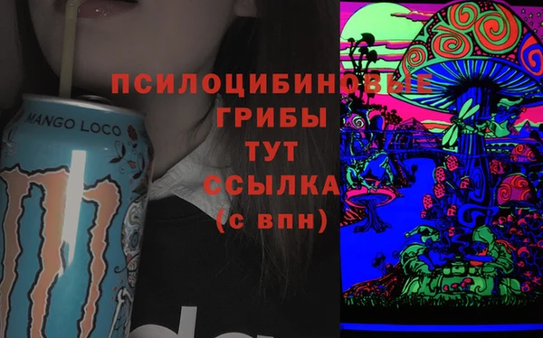 эйфоретик Заволжье