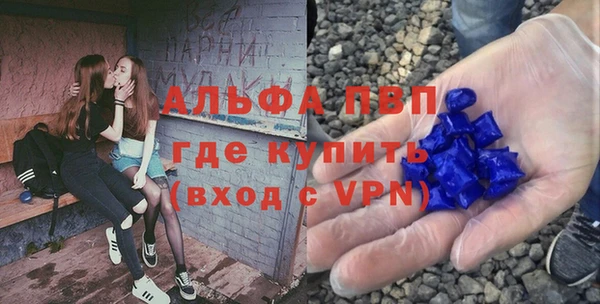 сатива Заводоуковск