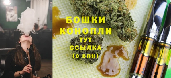 сатива Заводоуковск