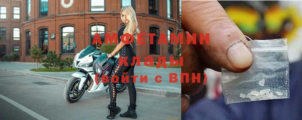 сатива Заводоуковск