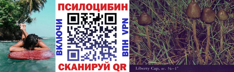 Псилоцибиновые грибы MAGIC MUSHROOMS Энгельс